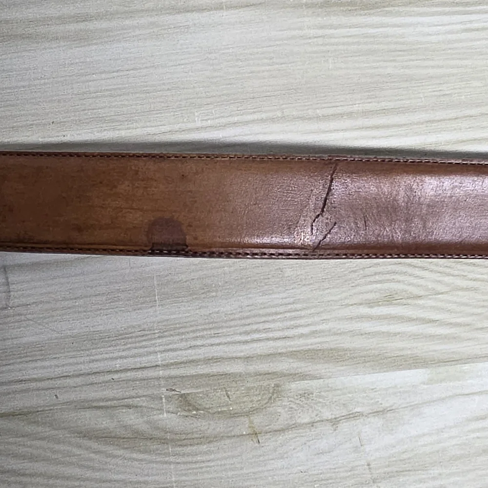 Brighton Brown and Silver Leather Belt with Distinctive Buckle